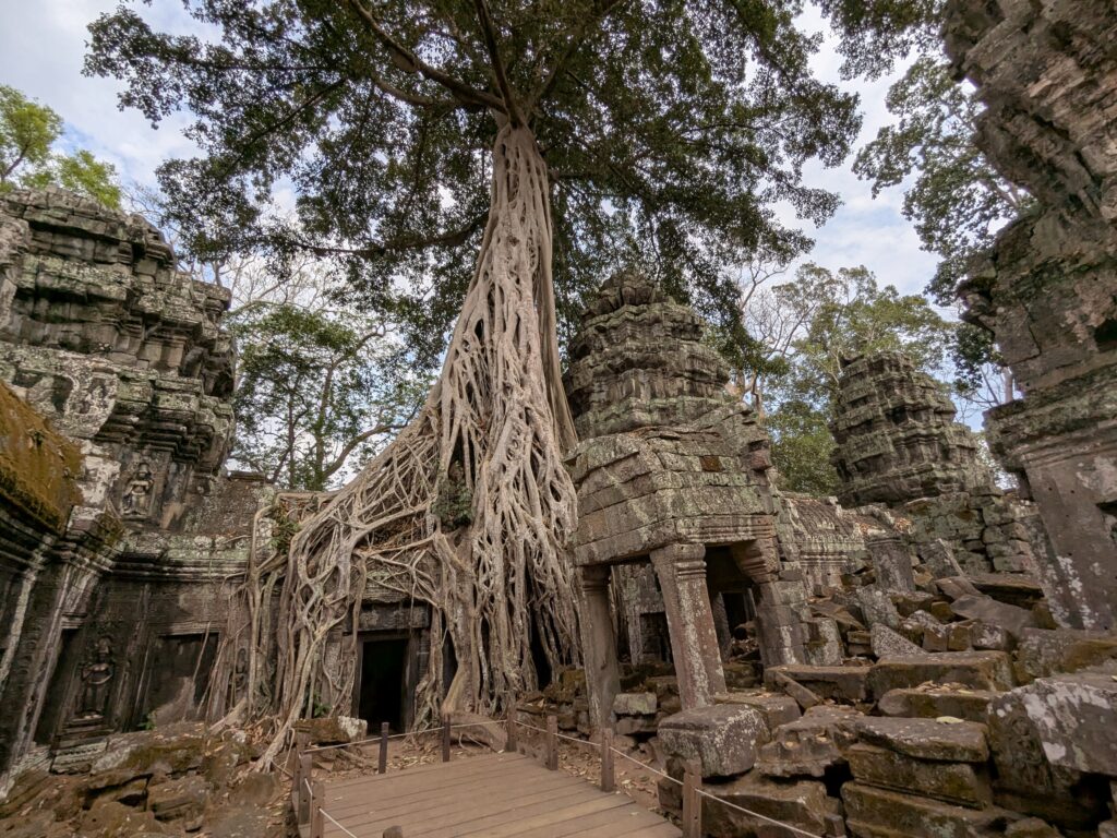 pxl 20260312 081041688