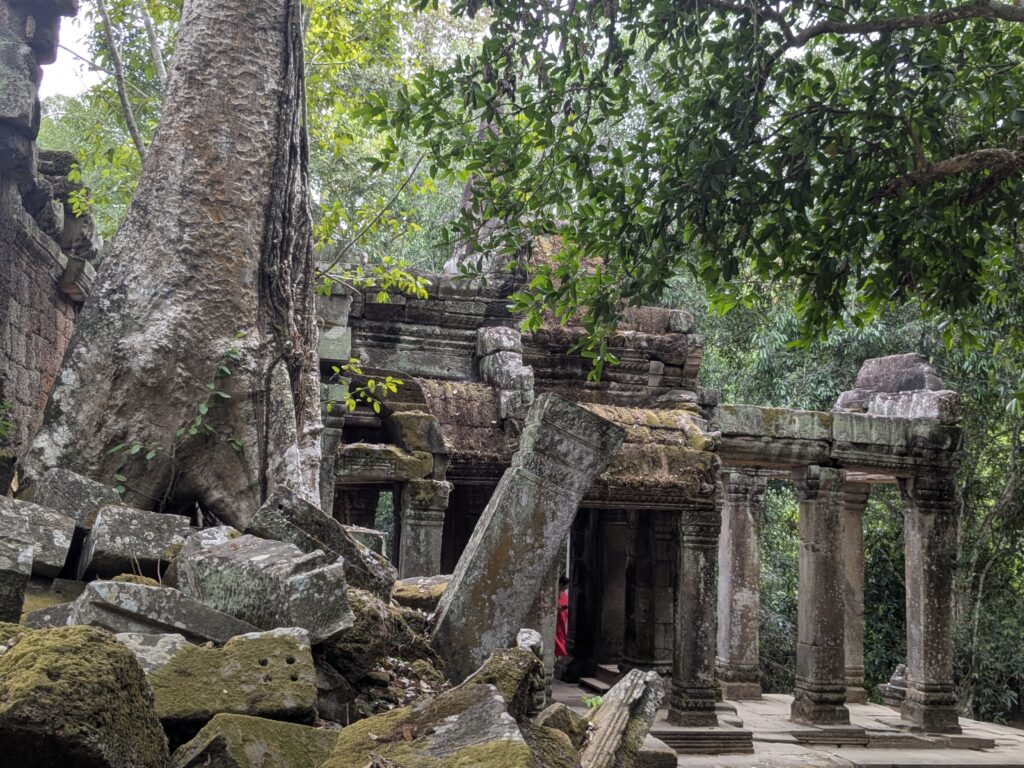 pxl 20260312 082651934