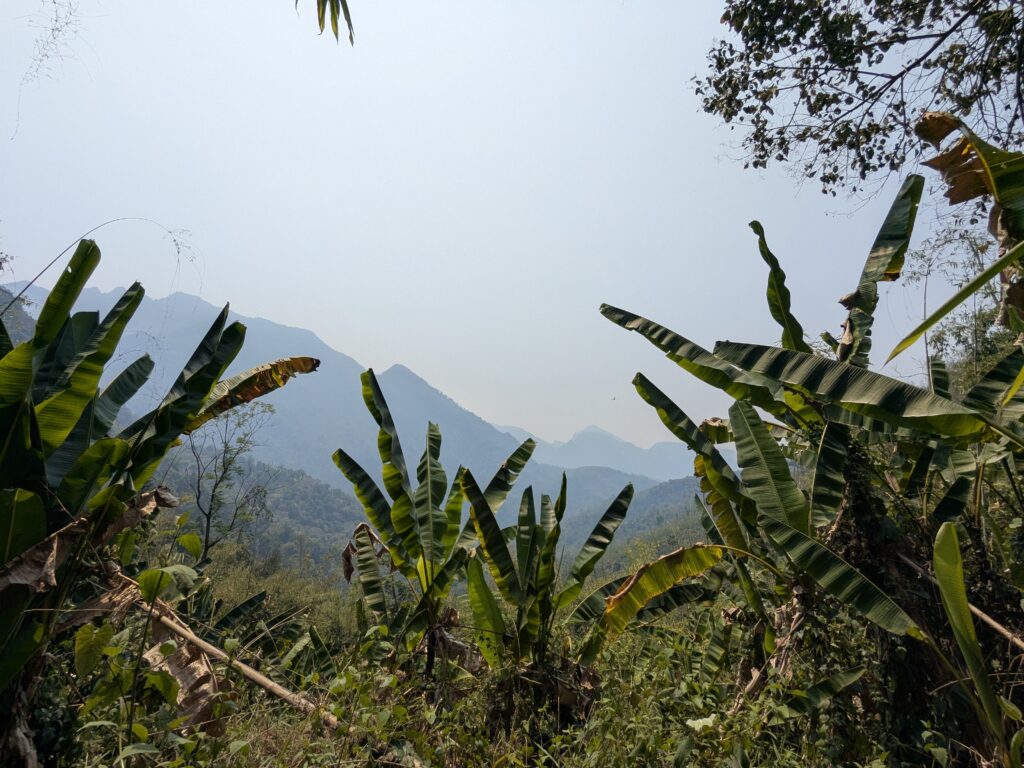 pxl 20260325 050201171