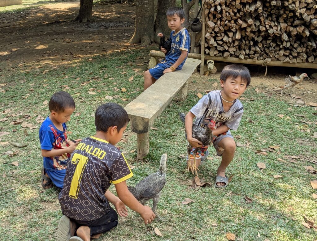 pxl 20260326 043003164~2