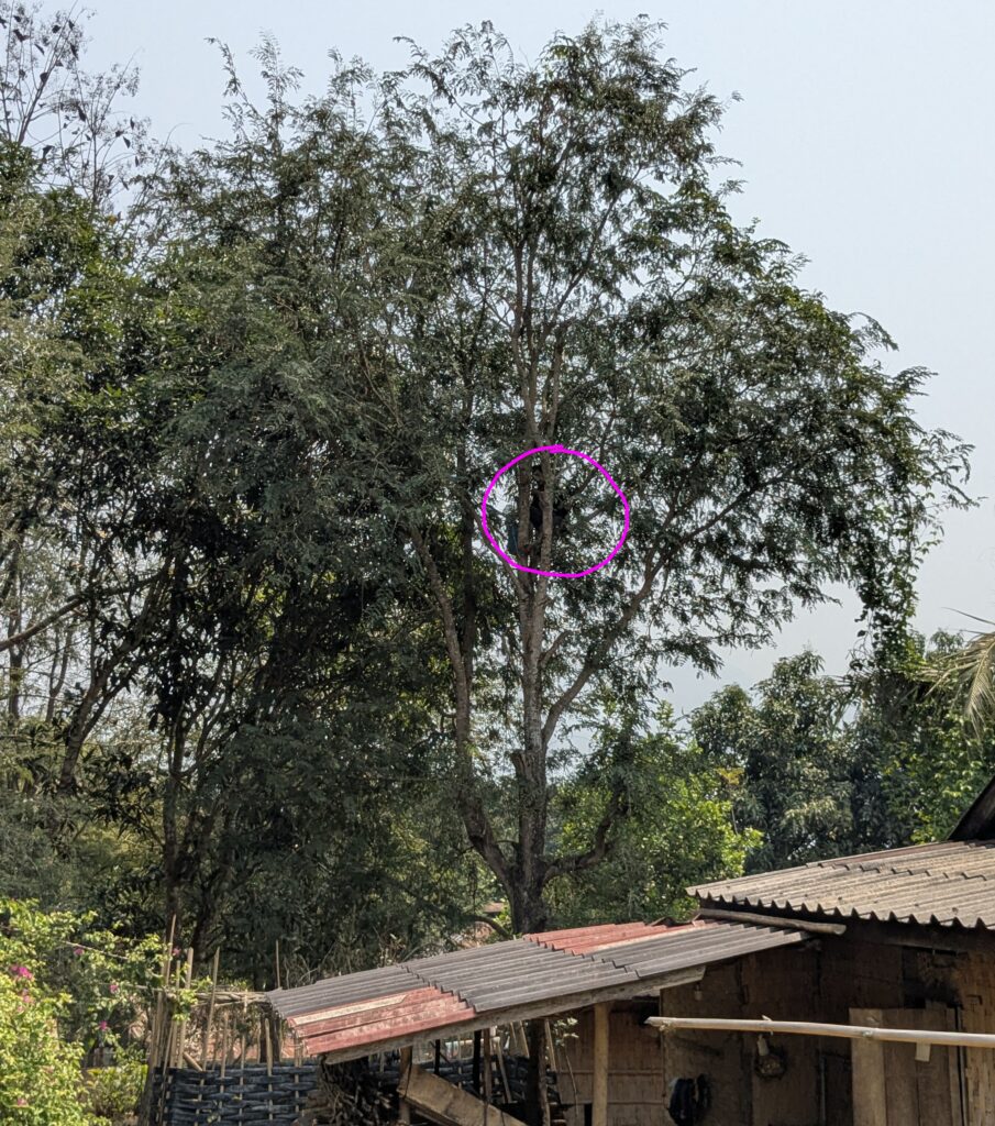 pxl 20260326 043106838~2