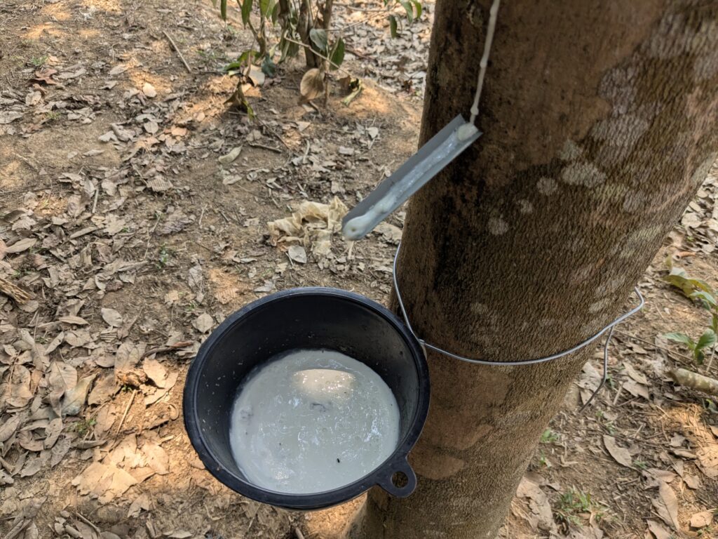 pxl 20260326 050008498