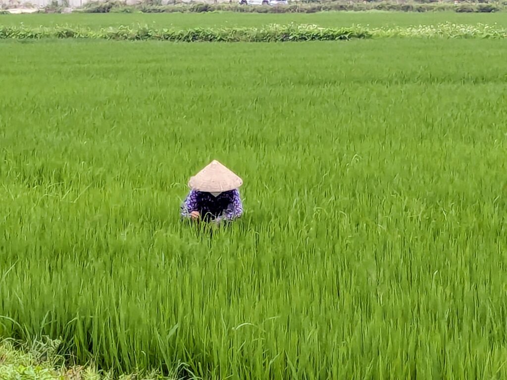 pxl 20260401 013118427~2