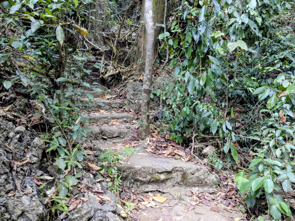 Cat Ba - zwischen Ernüchterung und Dschungelabenteuer pxl 20260402 052133024~2