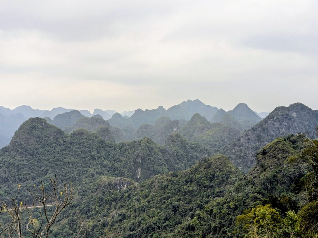 Cat Ba - zwischen Ernüchterung und Dschungelabenteuer pxl 20260402 055421454~2