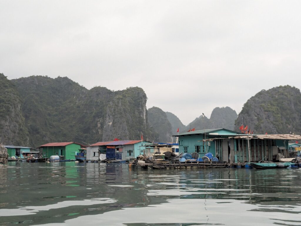 Cat Ba – zwischen Baustellen, Booten und einem unerwarteten Happy End pxl 20260403 030403756