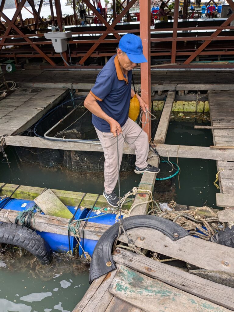 Cat Ba – zwischen Baustellen, Booten und einem unerwarteten Happy End pxl 20260403 041107074