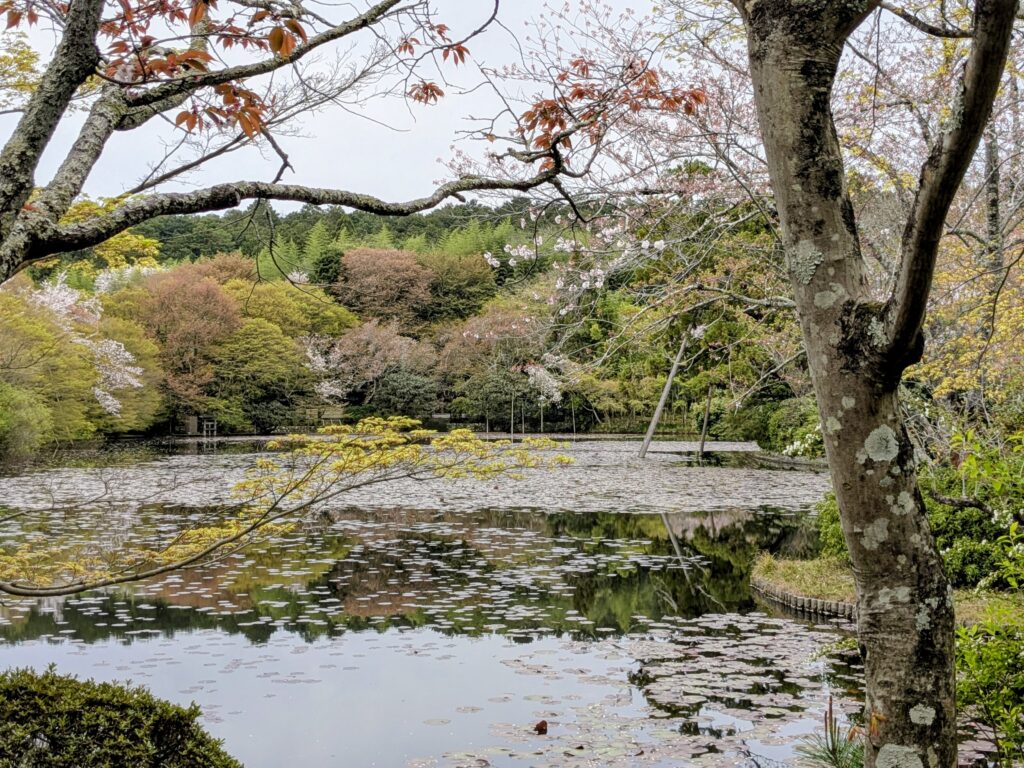 Kyoto – zwischen Bambus, Tempeln und Menschenmassen pxl 20260406 073858197~2