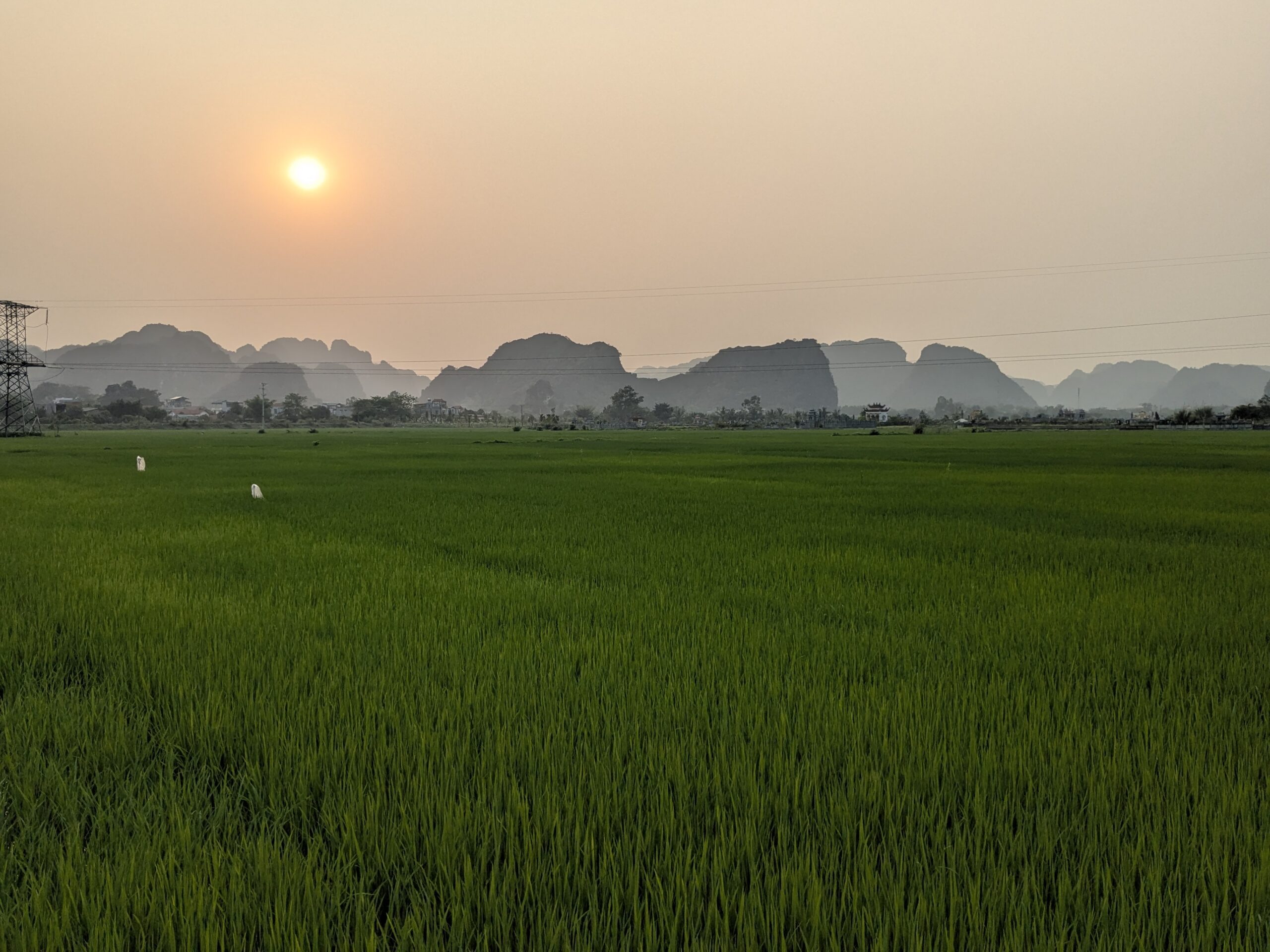 pxl 20260331 101701562